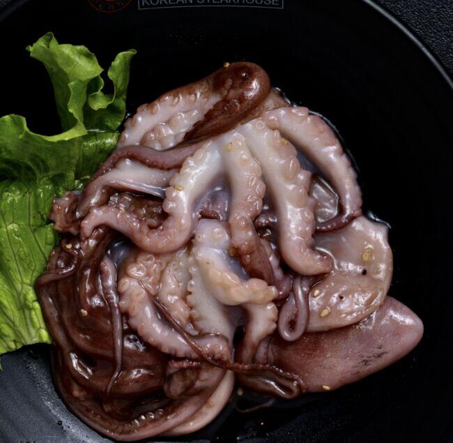 Hawaii Octopus